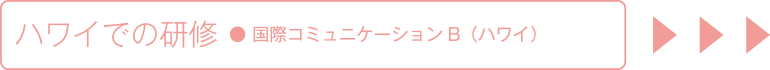 ハワイでの研修 国際コミュニケーションB ハワイ