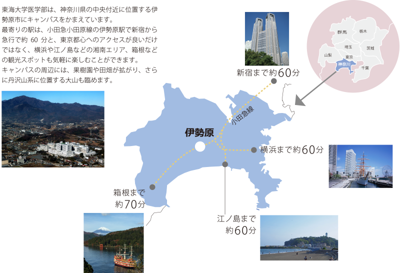 伊勢原STORY 東海大学医学部 マップ
